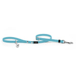 Baby blue adjustable biothane leash for walking smaller dogs